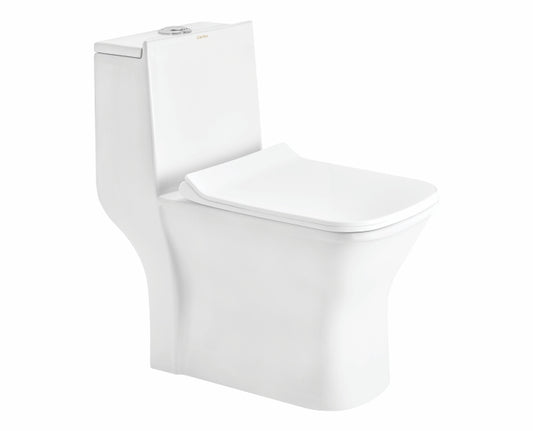 Cera Capaciti One-Piece EWC