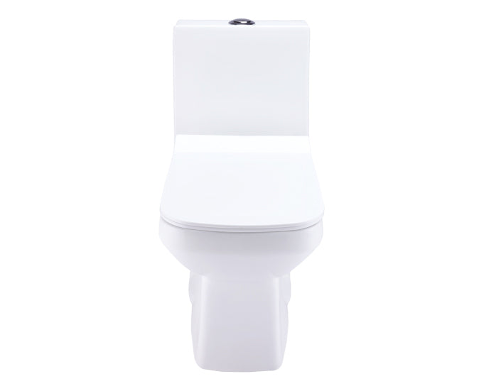 Cera Corey One Piece EWC - Modern European Water Closet