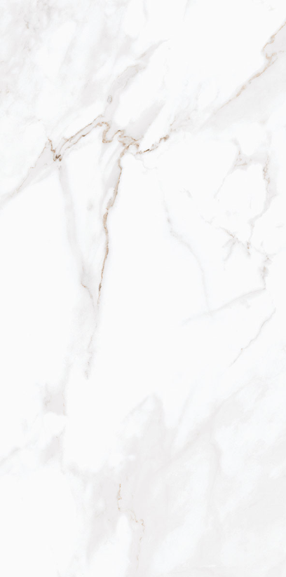 Calacatta 1200X600MM