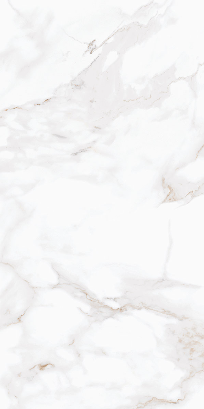 Calacatta 1200X600MM