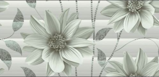 SOMANY Bellomint 300x600