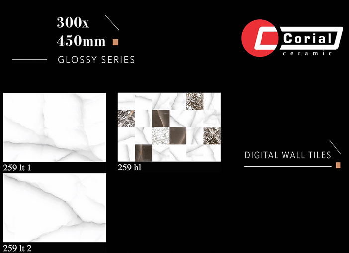 CORIAL 18X12 259