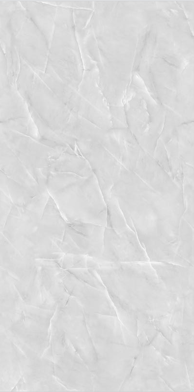 SOMANY eon roden silver fp v4 600X1000