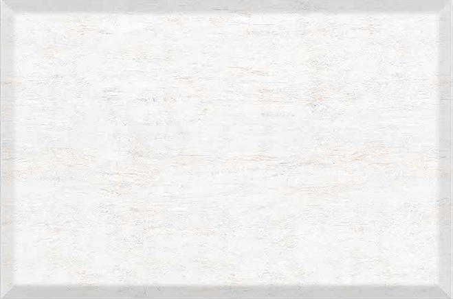 SAIMAX 21063 18X12