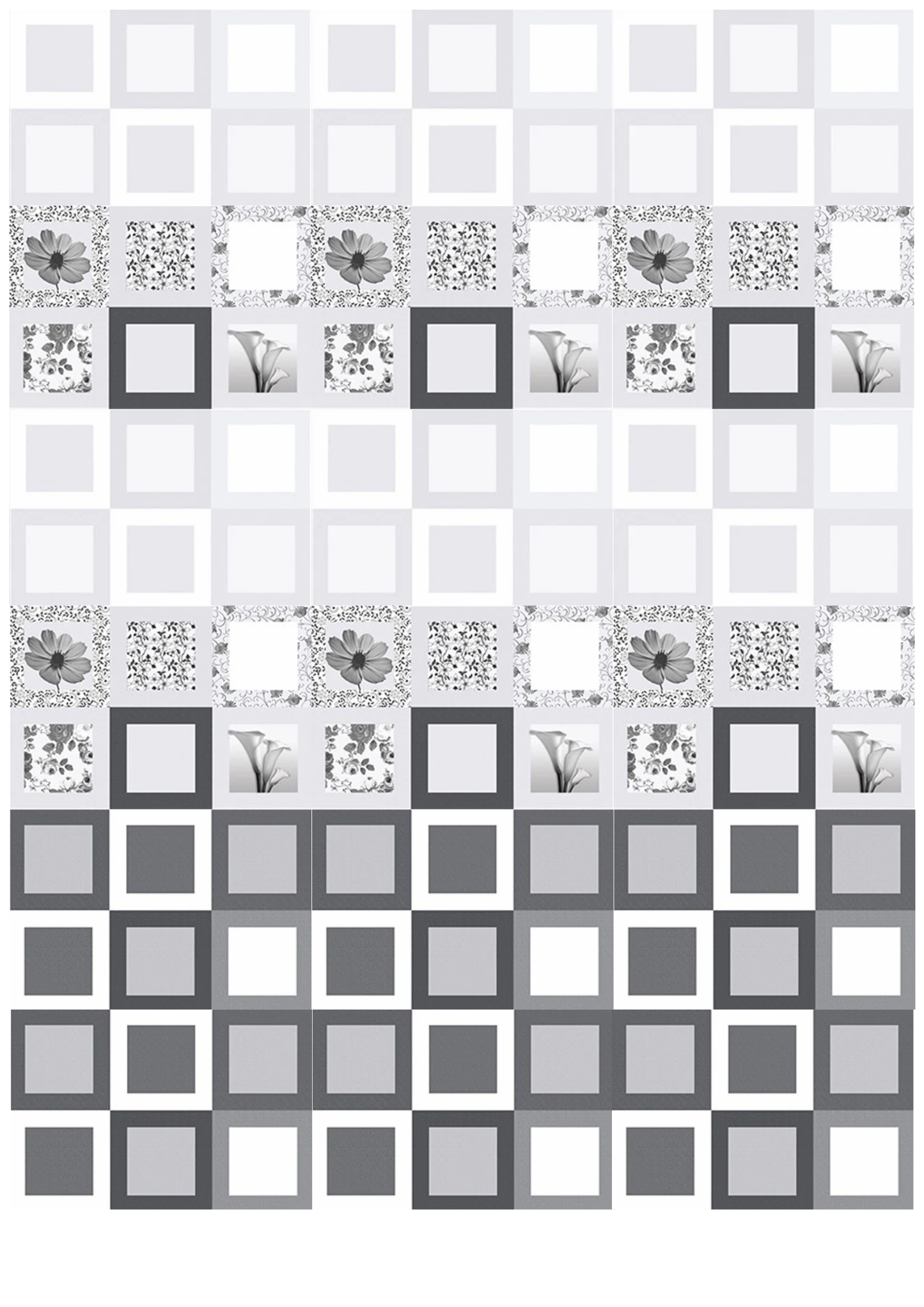 CORIAL 18X12 389