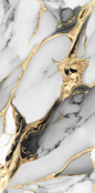 V-TILE Black Gold 600x1200 MM