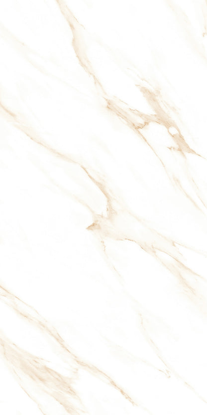 ITACA SWIZER GOLD SINKER (600X1200)