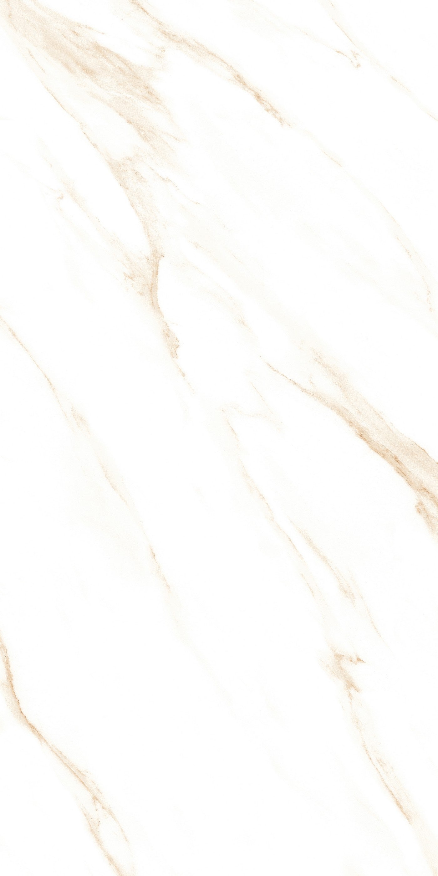 ITACA SWIZER GOLD SINKER (600X1200)