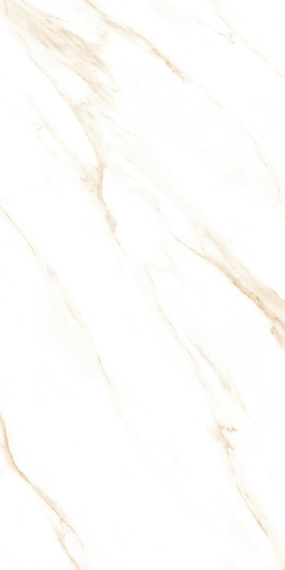 ITACA SWIZER GOLD SINKER (600X1200)