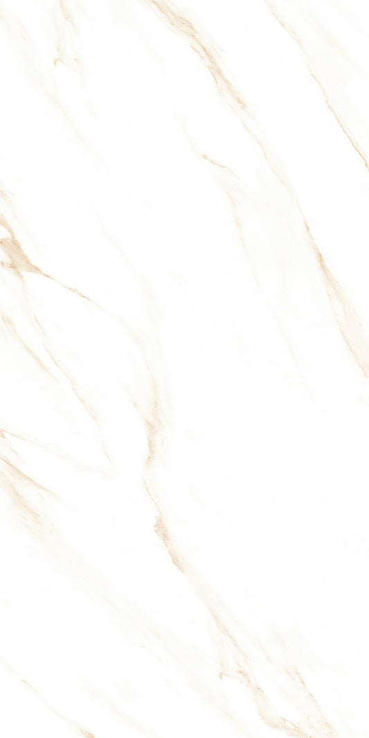 ITACA SWIZER GOLD SINKER (600X1200)