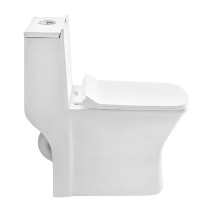 Cera Capaciti One-Piece EWC