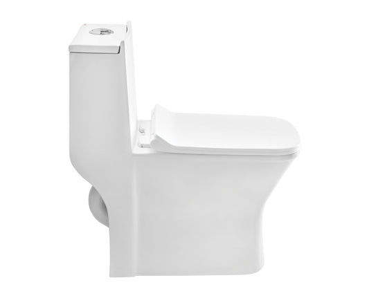 Cera Capaciti One-Piece EWC