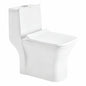 Cera Capaciti One-Piece EWC
