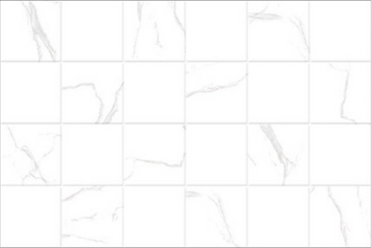 CORIAL 18X12 374