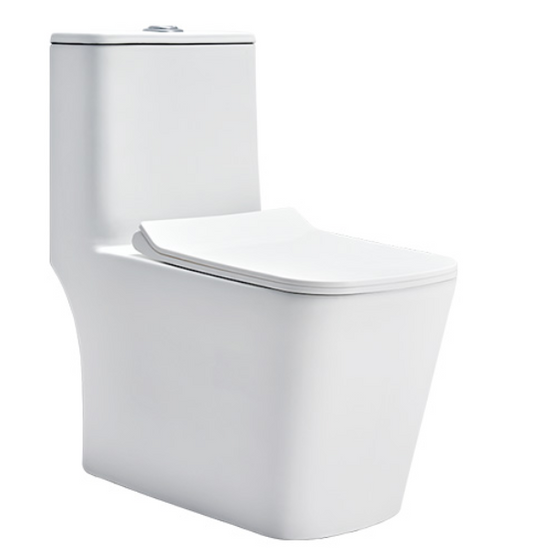 Cera Charm 6D One Piece EWC