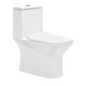 Cera Ceremony One Piece EWC - Premium Wall Hung Toilet