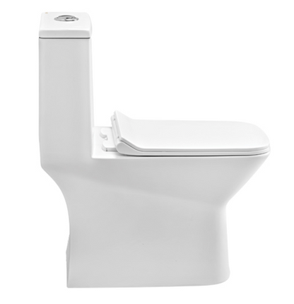 Cera Ceremony One Piece EWC - Premium Wall Hung Toilet