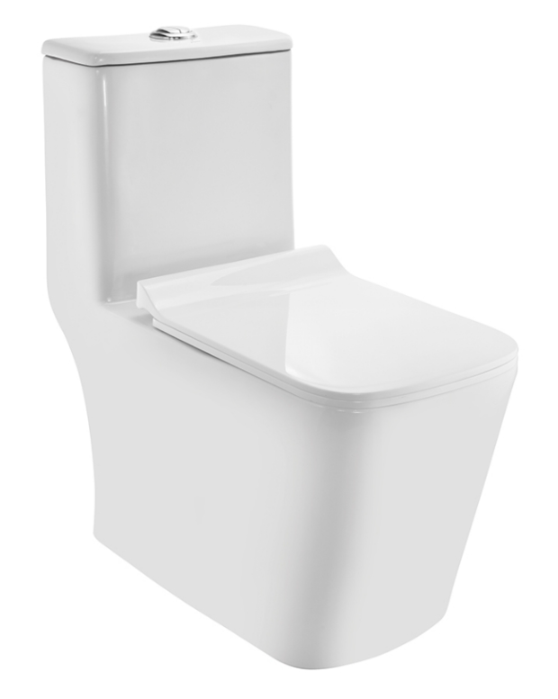 Jaquar Rimless Single Piece WC ( CNS-WHT-855S300SPPSMY)