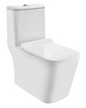 Jaquar Rimless Single Piece WC ( CNS-WHT-855S300SPPSMY)