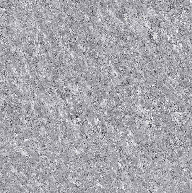 SOMANY Astonia Grey 600x600 Double Charge
